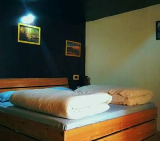 Great Barbet Birding Lodge & sundown Cafe pangot