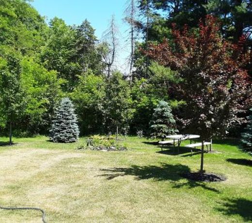 The Fields of Eden Inn