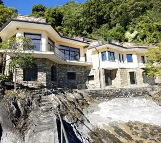 Villa Camelia