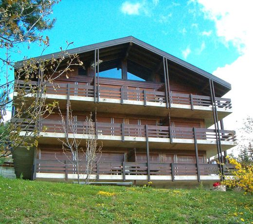 Apartment Le Zenith