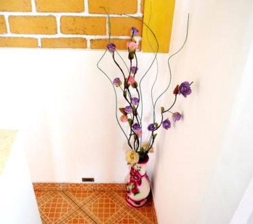 Shyni Villa