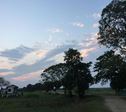 Nature Hunt Eco Camp