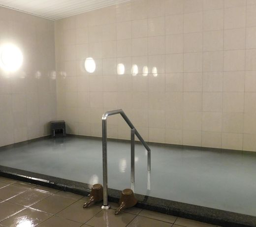 Plaza Hotel Furukawa