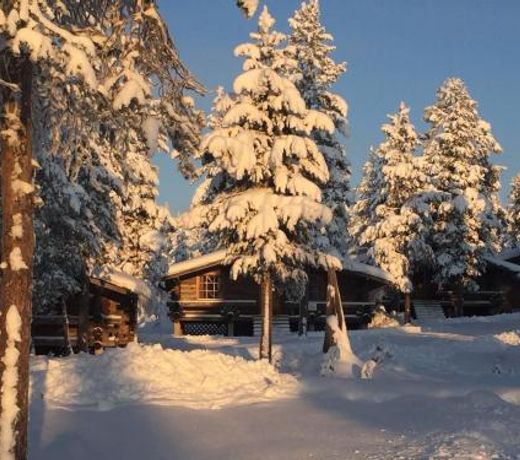 Arctic Log cabin