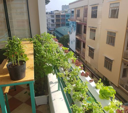 Winter Spring Homestay