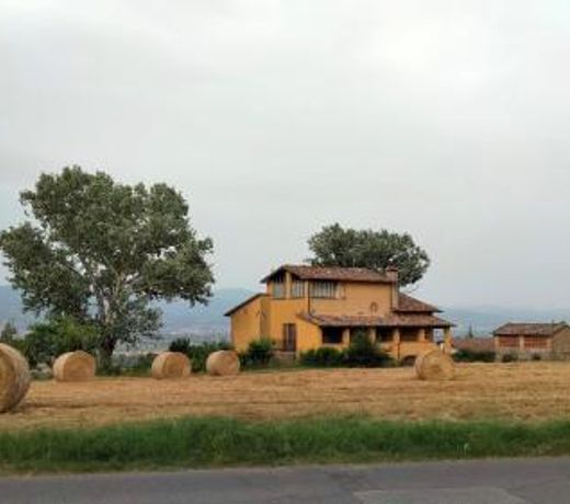 Vigna del Poggio