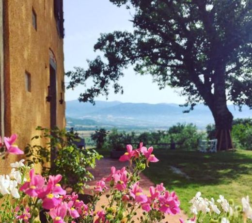 Vigna del Poggio