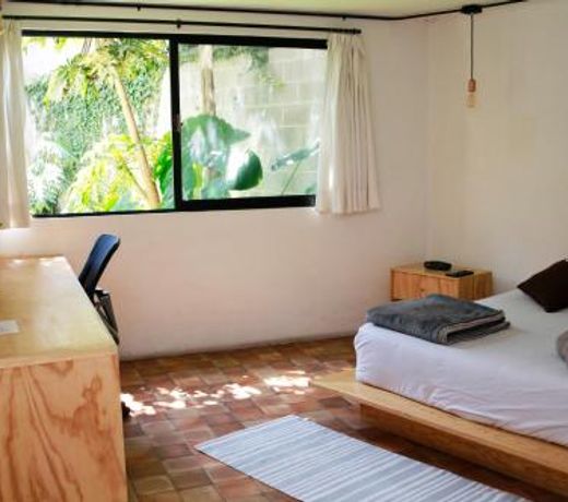Coyoacan City Lofts