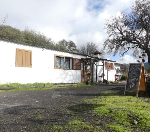 Mountain Hostel Finca La Isa