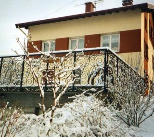 Studio avec vue sur le lac jardin amenage et wifi a Gerardmer a 1 km des pistes