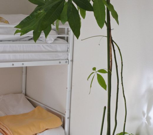 Guest House M104 Kagoshima