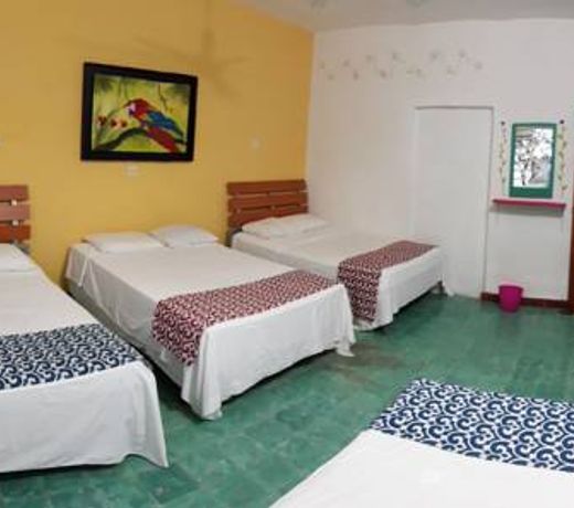 Hostal Guacamayas