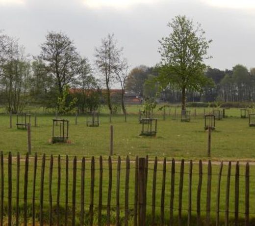 De Schaapskooi