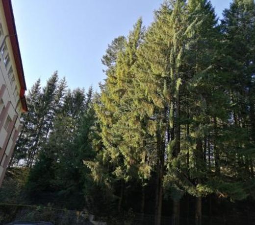 HOSTEL CPPI Nord