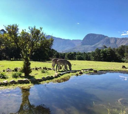 Franschhoek Country Cottages