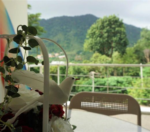 View in Premium Zen Space, Tree Residence