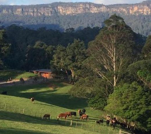 Amaroo Valley Springs