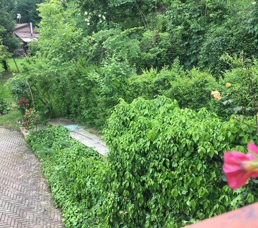 B&B La Villarella dei Tulipani
