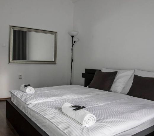 Apt. close to Ice Hockey World Championship Arena