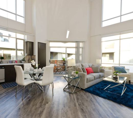 Hollywood Views Massive Penthouse