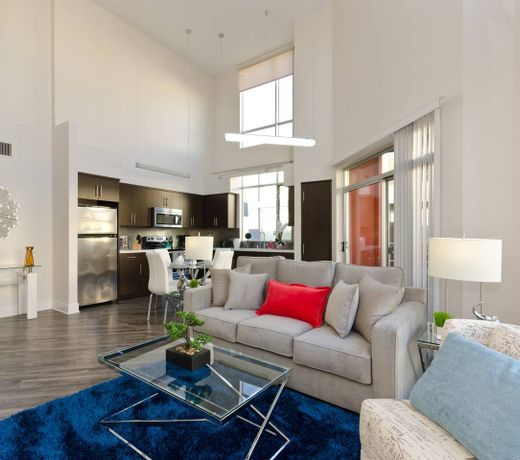 Hollywood Views Massive Penthouse