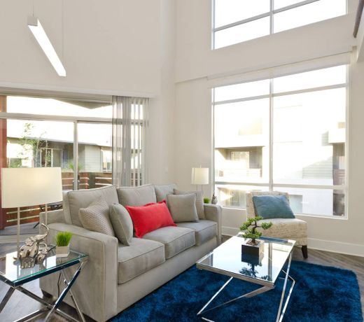 Hollywood Views Massive Penthouse