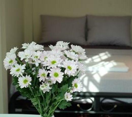 123Smile House