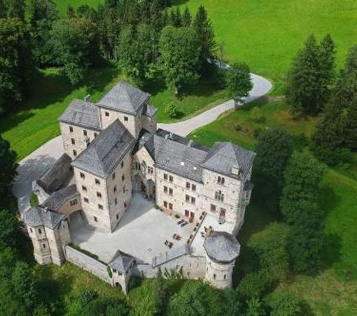 Schloss Fischhorn am See
