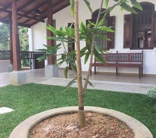 Natures Lodge-Galle
