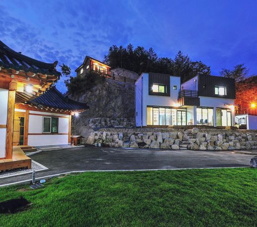 Healing Story House - Bleeding heart