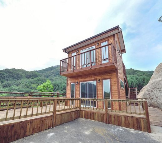 Healing Story House - Bleeding heart