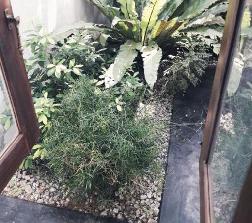 Manoram Guest House