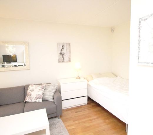 Nydalen - Studio next to BI and Radisson Hotel