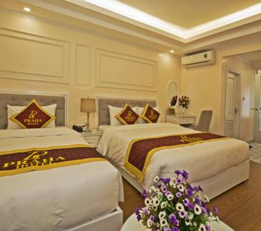 Sapa Praha Hotel