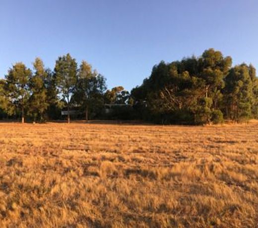 Tegwan's Nest Holiday Home