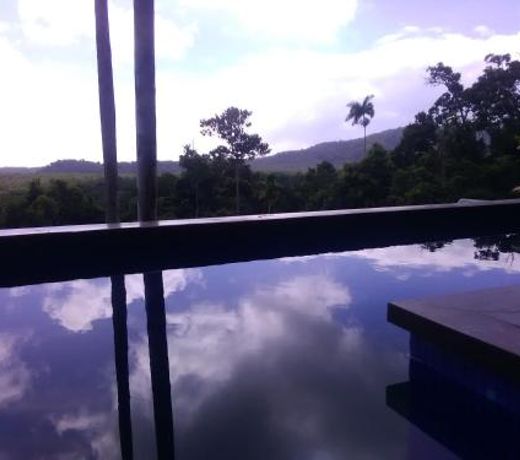 Daintree Holiday Homes - La Vista