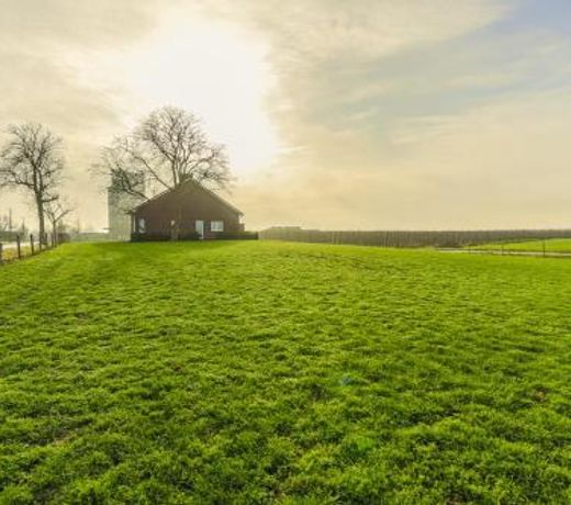 De Oude Katsei