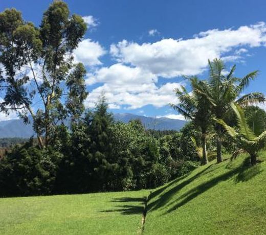 Finca La Toscana