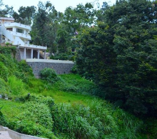Nilgiri Comfort Stay