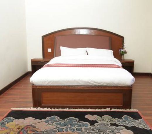 Hotel Pema Tsal