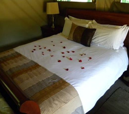 Harties Is Africa Safari Lodge