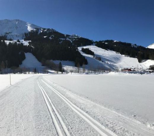 Alpinplus