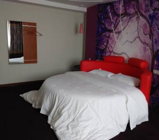 Thank Inn Chain Hotel Henan University