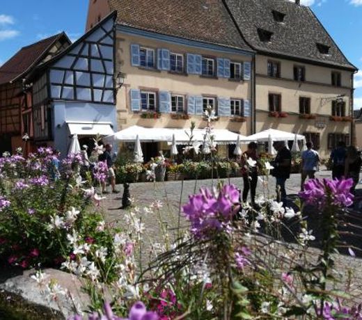 GÃ®te au chÃ¢teau fleuri