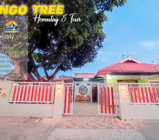 Mango Tree Homestay & Ijen Tour