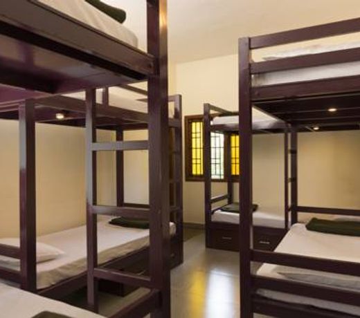 Trippr Kodaikanal Backpacker Hostel
