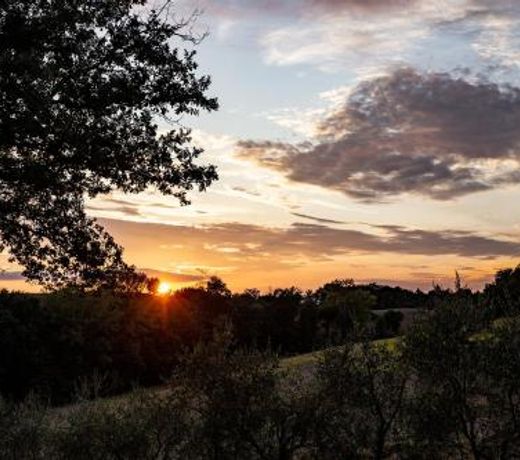 Agriturismo Podere Campinovi