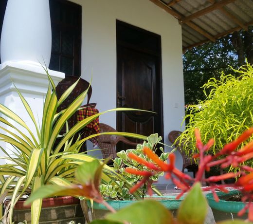 Fairview Dill homestay