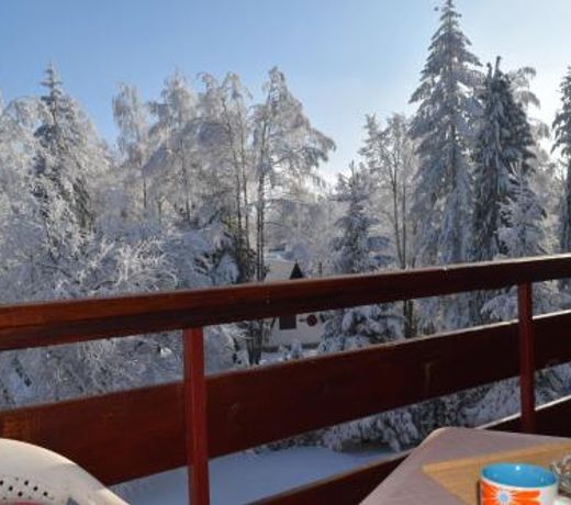 Vila Aris Zlatibor