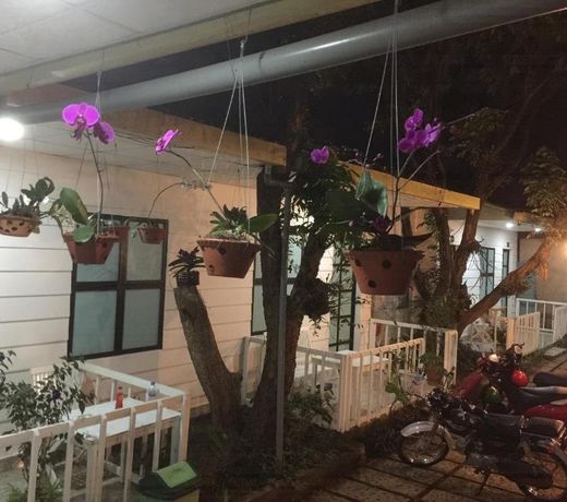 Hani House